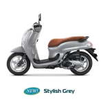 New Scoopy 2026
