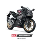 CBR 250 RR + QS - Image 3